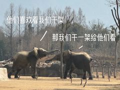 -杭州野生动物世界