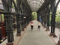 -合肥滨湖国家森林公园