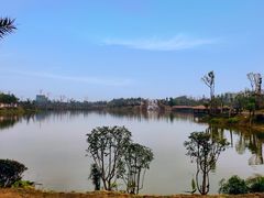 -枫香湖儿童公园