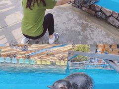 -泉城欧乐堡海洋极地世界