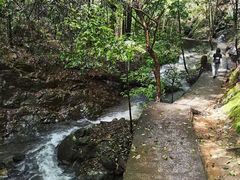 -大余丫山旅游度假区