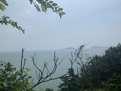 -普陀山慧济禅寺