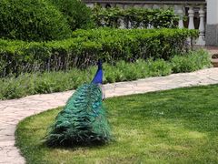 -金庭庄园酒店-停车场