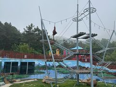 -西霞口神雕山野生动物世界