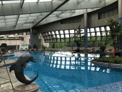 游泳池-杭州君悦酒店