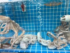 -聚德福海鲜家常菜(刘庄店)