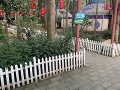 -草根堂农场