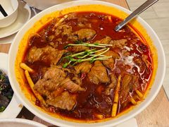 -新渝城·川菜·火锅(区庄店)