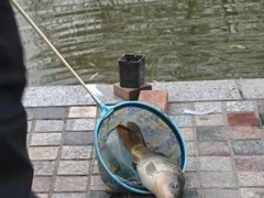 -酷鱼垂钓CLUB(朝阳区博大路店 )