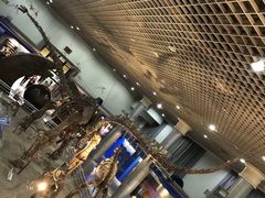 -国家自然博物馆