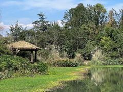 -桤木河湿地公园
