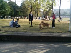 -广西师范大学(育才校区)