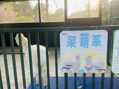 -青岛鑫江温德姆酒店