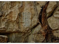 -皇藏峪国家森林公园