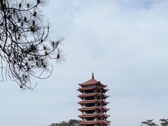 -缙云山景区