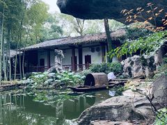 -南山植物园
