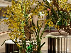 -香港皇家太平洋酒店