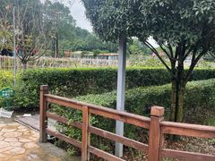 -洪湖家庭农场·团建·露营·会议