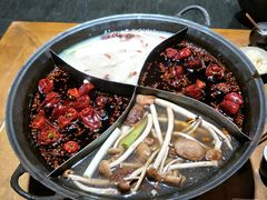 -白乐天毛肚火锅馆(南滨路店)