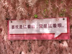 -贵安欢乐世界