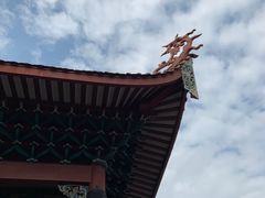 -金鸡山公园