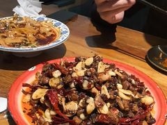 -柴窝堡22号辣子鸡·传承新疆菜