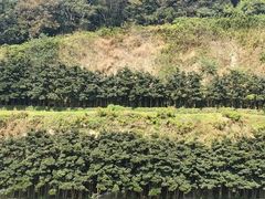 -灵山胜境