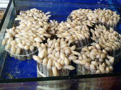 -江杨农产品批发市场