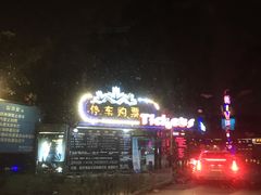 -枫花园汽车电影院(朝阳公园店)