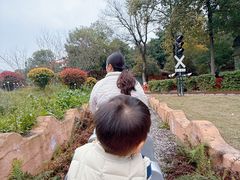 -南湖梦幻岛
