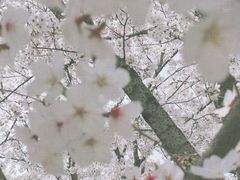 -龙美术馆(西岸馆)