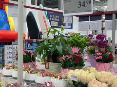 -山姆会员商店(上海浦东店)