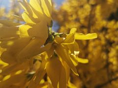 -北京银行(上地支行)