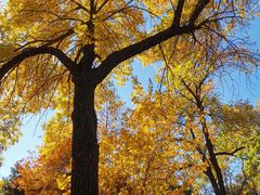 -元大都城垣遗址公园