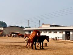 -河北村民俗体验园