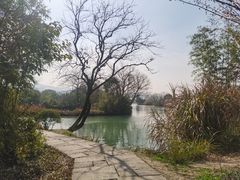 -西溪国家湿地公园