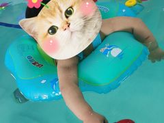 -乐悠游亲子游泳俱乐部