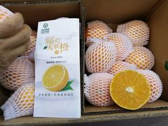 -郑州国际会展中心