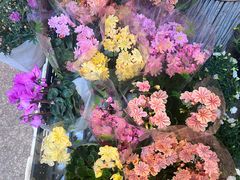 -双季花艺园艺市场(浦东店)