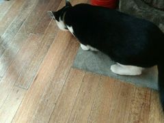 -猫的天空之城概念书店(杭州南宋御街店)