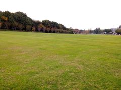 -昆山城市生态森林公园