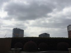 -上海龙之梦万丽酒店