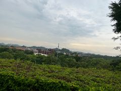 -水濂山森林公园