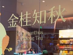 -奈雪的茶(石家庄万象城店)