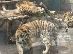 -西安秦岭野生动物园