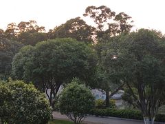 -雀儿山公园
