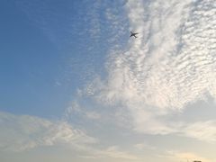 -海沧湾公园