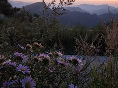 -白草畔自然风景区