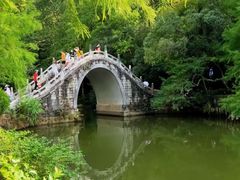 -深圳仙湖植物园