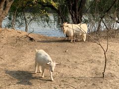 -长兴太湖图影湿地文化园